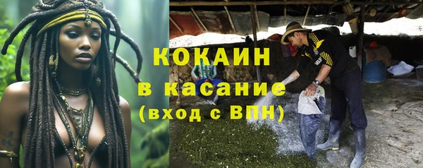 бошки Вяземский