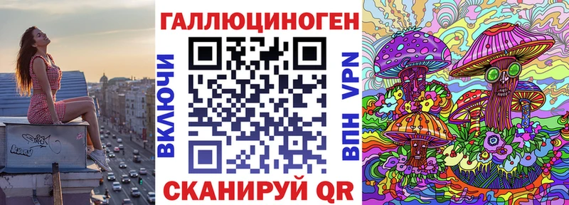 Псилоцибиновые грибы GOLDEN TEACHER  Купить закладки  Райчихинск 